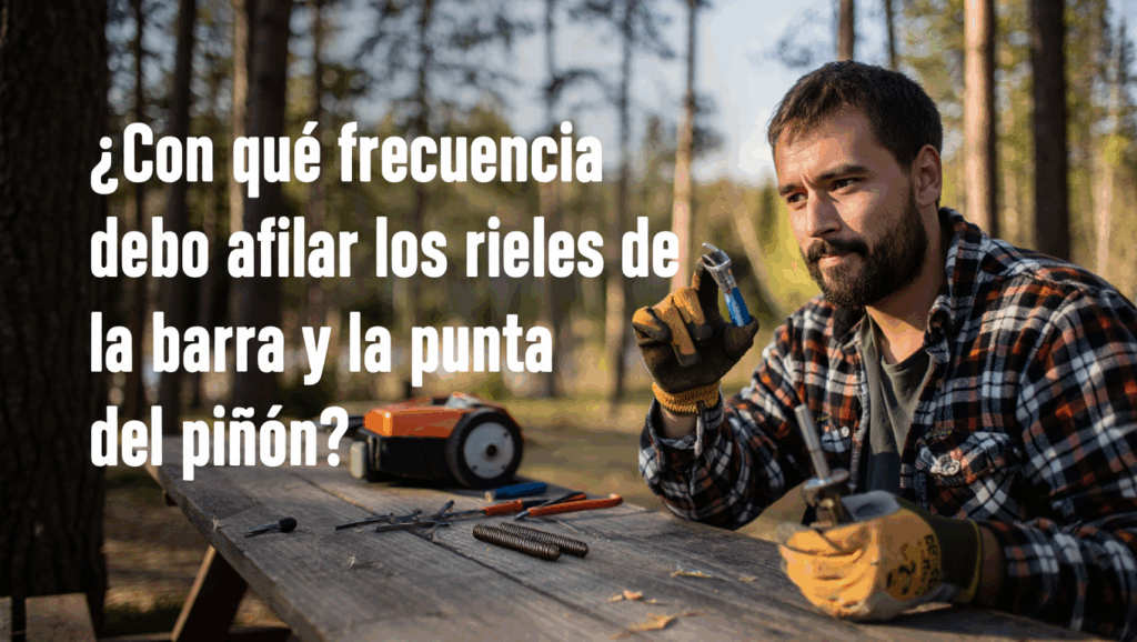 ¿Con qué frecuencia debo afilar los rieles de la barra y la punta del piñón?